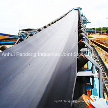 Transmission Belt/Rubber Conveyor Belt/Cold-Resistant Conveyor Belt